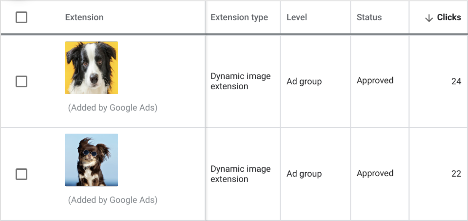 dynamic image extension table